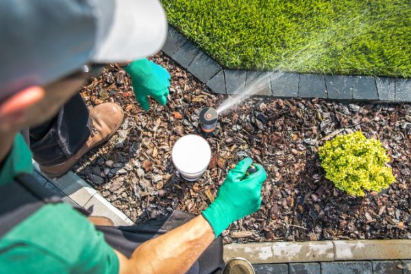 Lawn Care Company Alachua FL 1